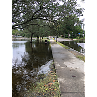 Hurricane Florence  image